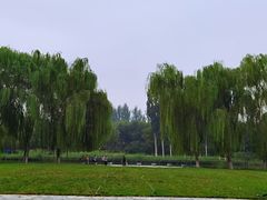 -大兴滨河森林公园