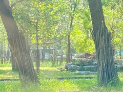 -秦皇岛野生动物园