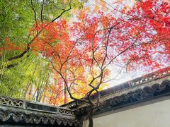 -秋霞圃