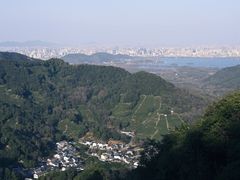 -龙井村