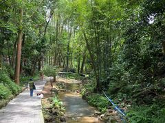 -火炉山森林公园