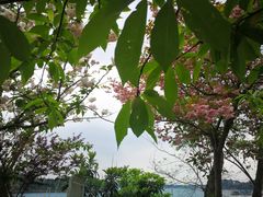 -仙海旅游度假区