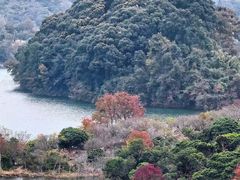 -广州市流溪河国家森林公园