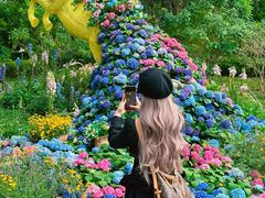 -云溪植物园