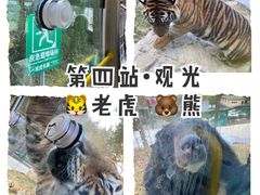 -栾川竹海野生动物园