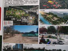 -中国宋庆龄青少年科技文化交流中心