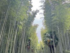 -黄公望隐居地