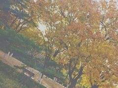 -山东师范大学(千佛山校区)