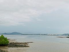 -深圳湾公园(南山区)