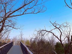 -白水寺森林公园