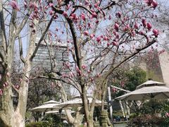 -静安公园(静安寺街道)
