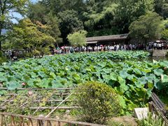 -韶山毛泽东同志故居