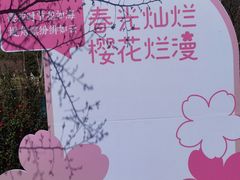 -堤角公园