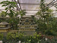 -南宫五洲植物乐园