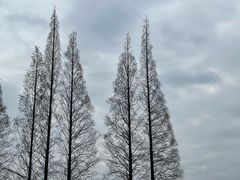 -蜀绣公园