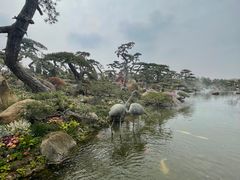 -罗红摄影艺术馆