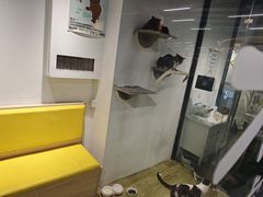 -废柴猫概念馆·桌游电玩卡牌(人广世茂店)