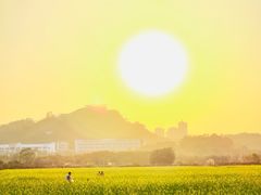 -光明小镇欢乐田园