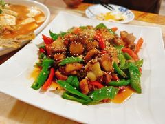 -煲来饱去冷水鱼