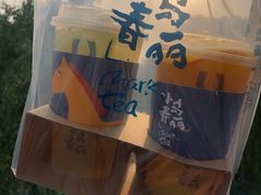 -春丽小马(济南恒隆广场店)