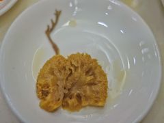 珊瑚菌-太婆天府山珍酒楼(亚运村店)