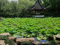 -上海醉白池公园