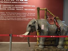 -中国湿地博物馆