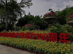 -晓港公园