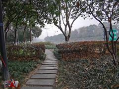 -运河游船(武林门码头)