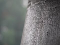 -峨眉山报国寺