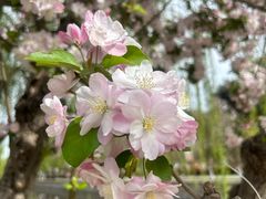 -元大都城垣遗址公园