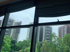 -广州汇华希尔顿逸林酒店
