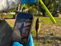 -蓝天路(地铁站)