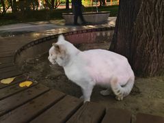 -迎泽公园