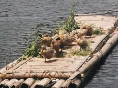 -野三坡清泉山风景区