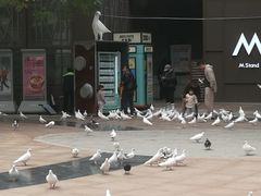 -中粮·祥云小镇
