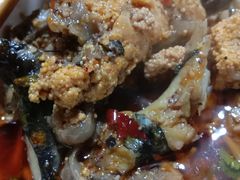 -金海椒罐罐鲢鱼(东方桂苑店)