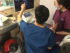 -爱诺耐芙动物医院(万博店)