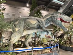 -湖南省地质博物馆