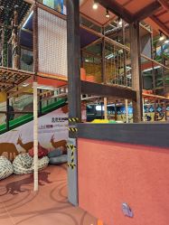 -卡通尼·Safari非洲探索乐园·生日会(金桥国际商业广场店)