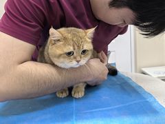 -芭比堂动物医院·CT·微创中心(新顺分院)