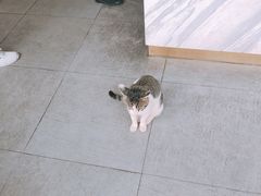 -UNI UNI(环亚凯瑟琳店)