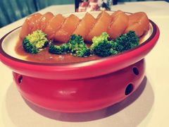 -陶苏·品味融合川菜(龙湖源著天街店)