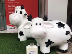 -白色日记·手作酸奶(麦凯乐店)