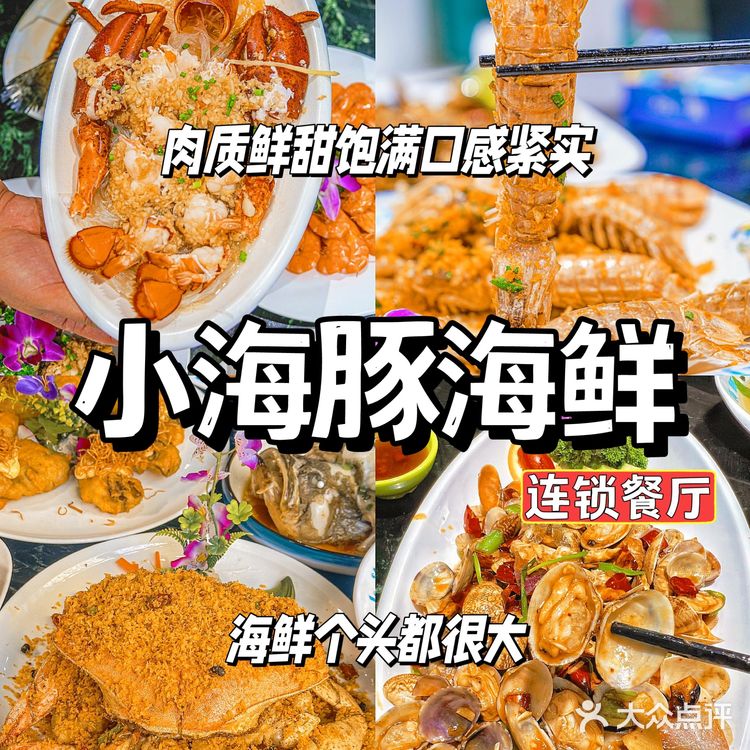 三亚/小海豚没白来吃!