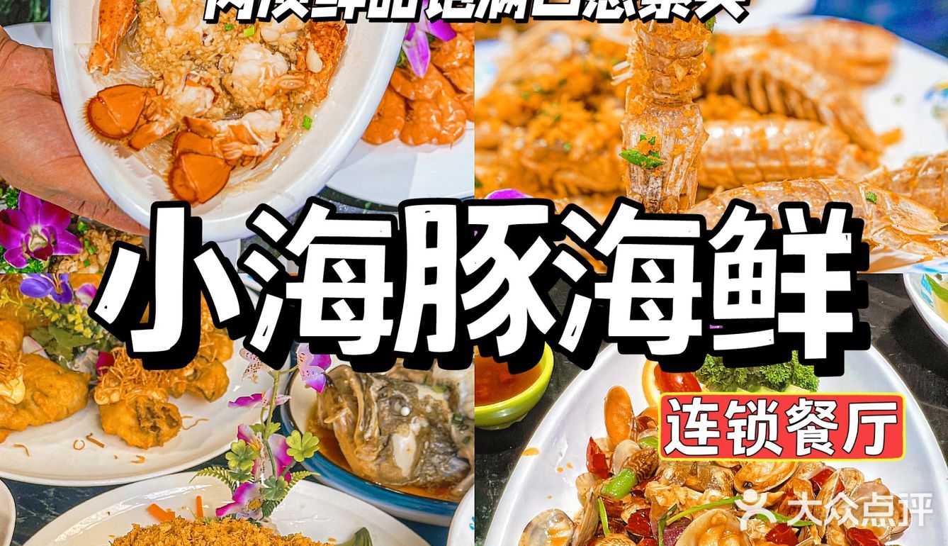 三亚/小海豚没白来吃！