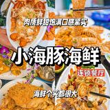 三亚/小海豚没白来吃！