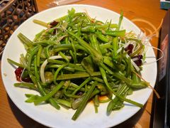 -菌自由丨野生菌火锅特色庭院餐厅(丽江古城店)