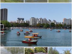 -大宁公园