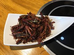 -穿烧谱烧烤